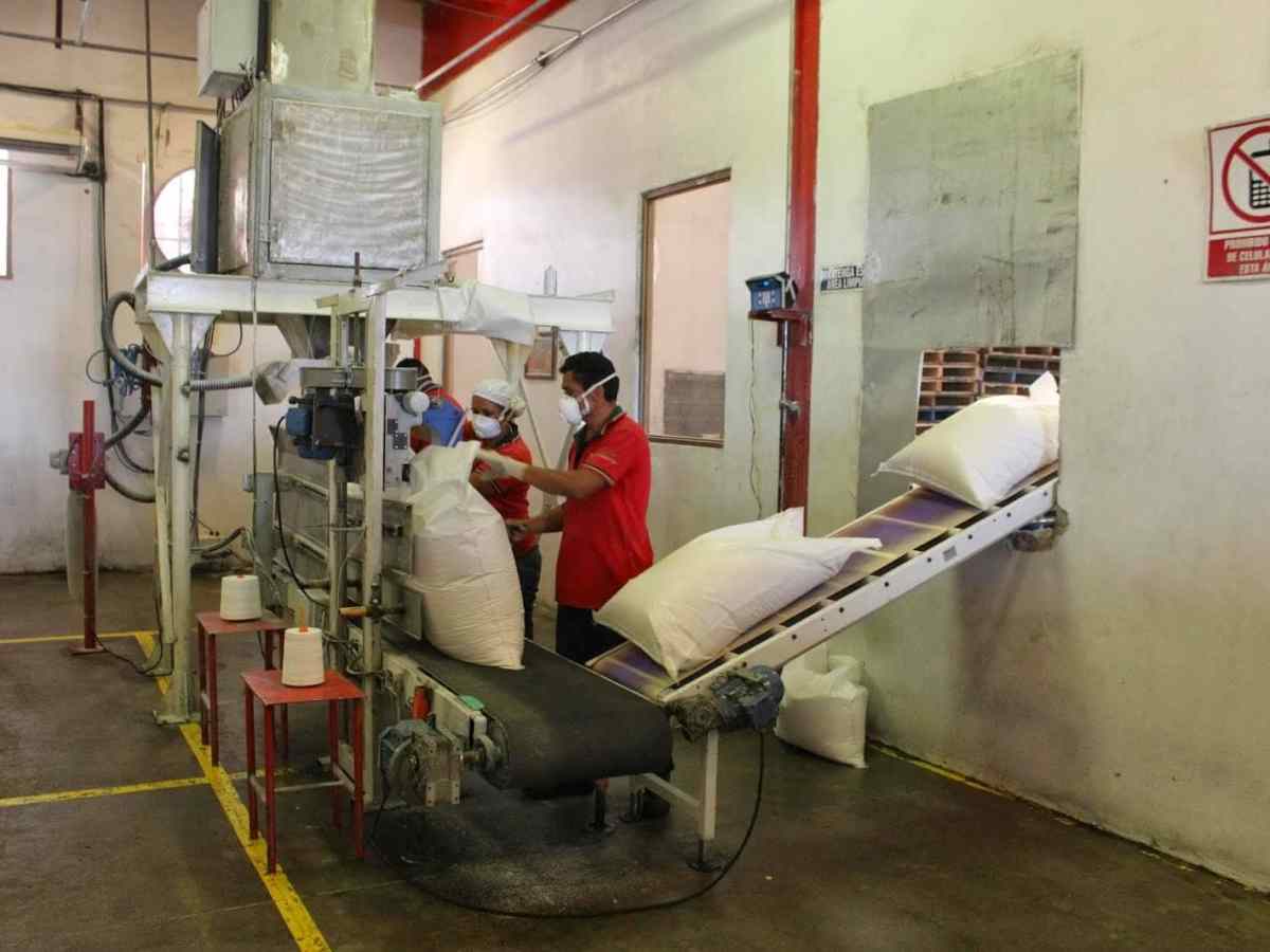 cañicultores | precio del azúcar