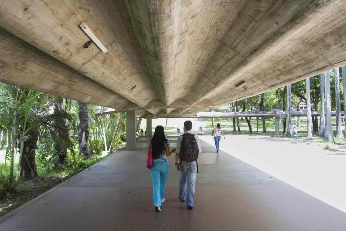 trabajadores universitarios
