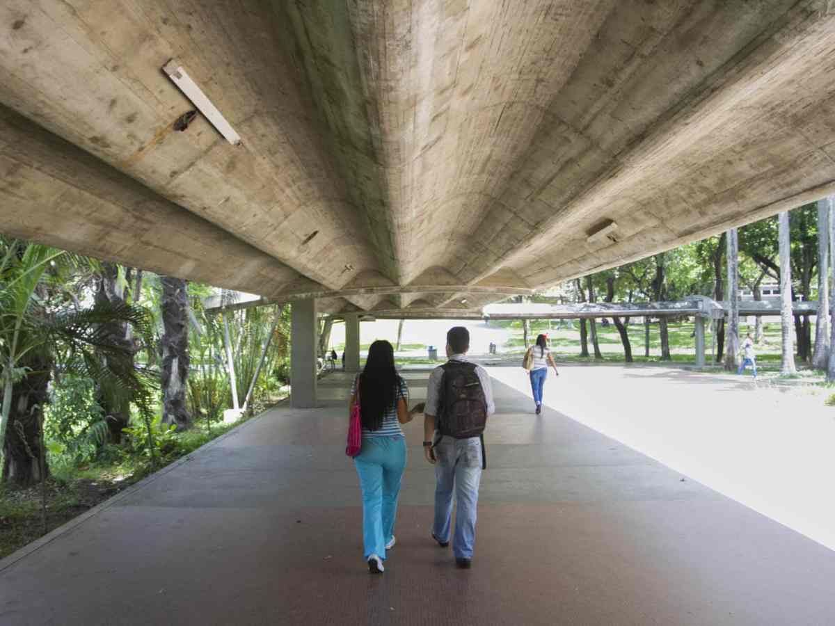 trabajadores universitarios