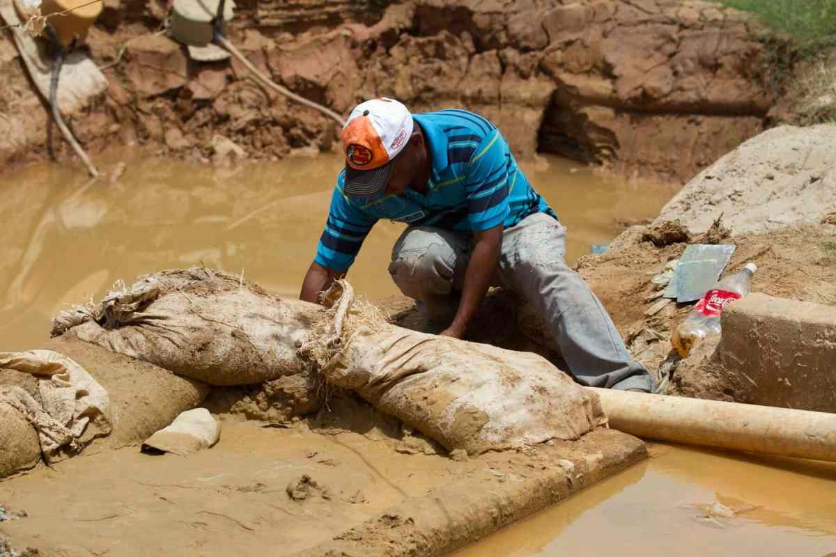 Comisión de Ambiente de la AN iniciará una campaña contra el decreto del Arco Minero