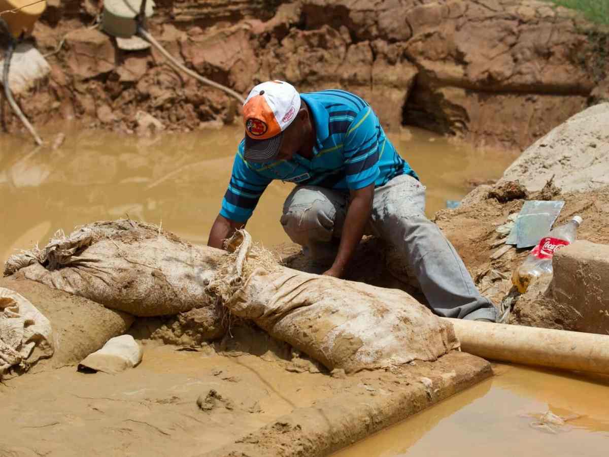 Comisión de Ambiente de la AN iniciará una campaña contra el decreto del Arco Minero