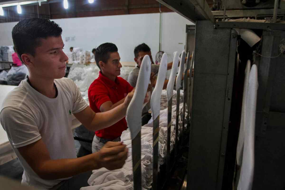 importación de productos