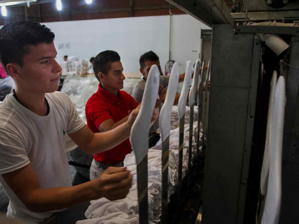 importación de productos