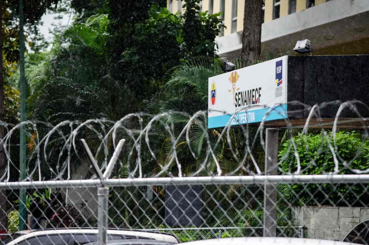 osamentas halladas en La Bonanza