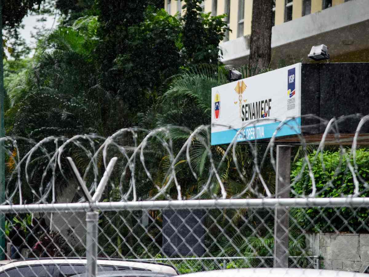 osamentas halladas en La Bonanza