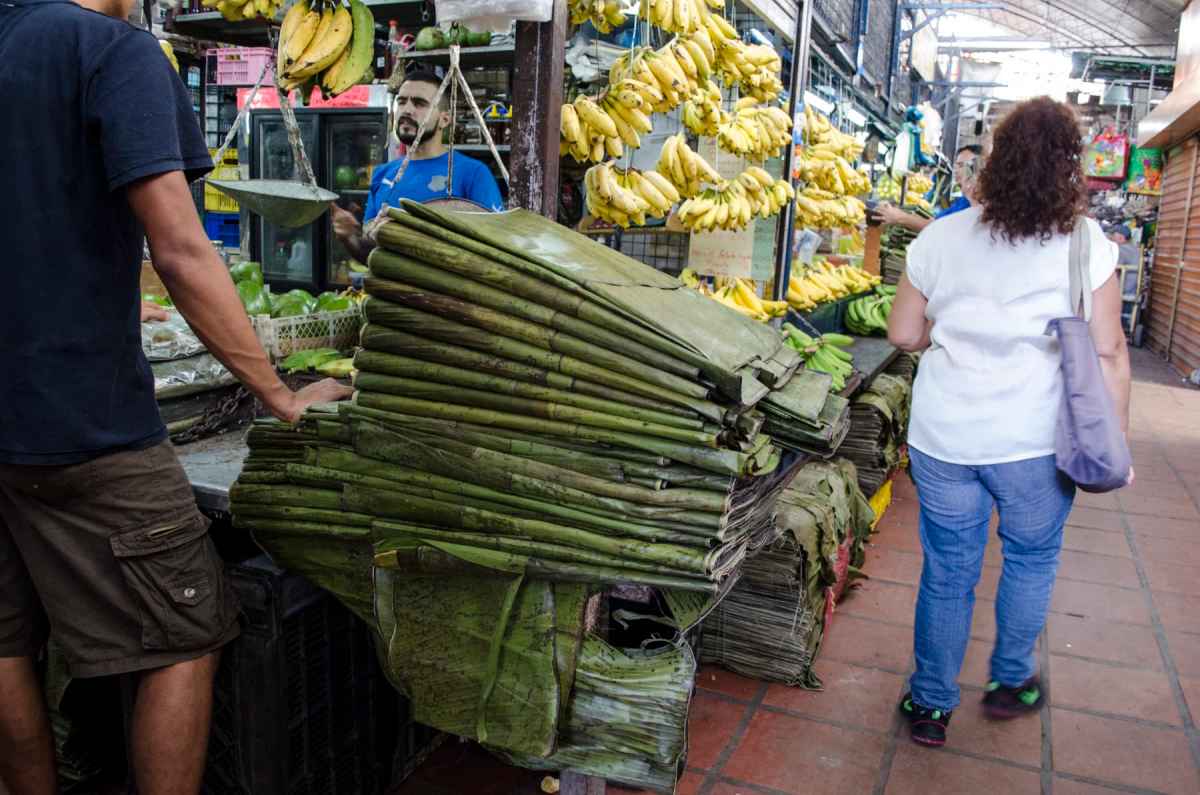 hoja para hallacas