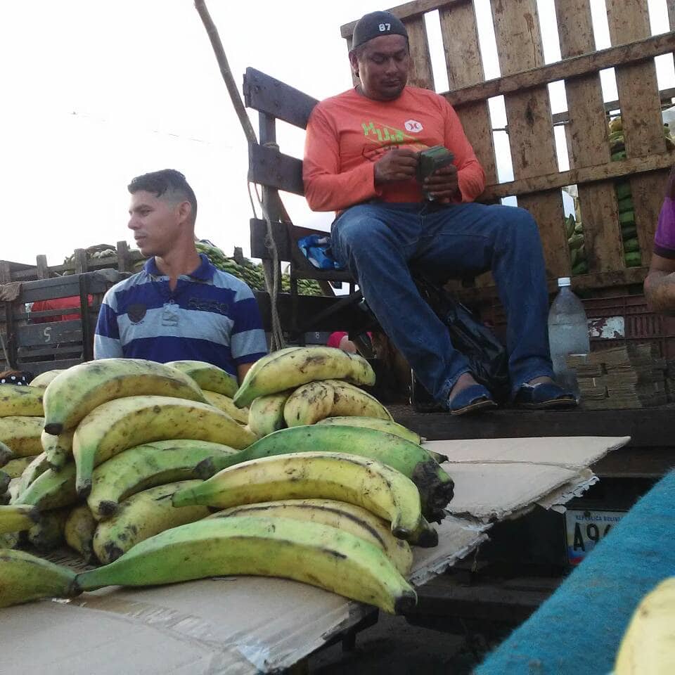 Precio del plátano se disparó en Maracaibo