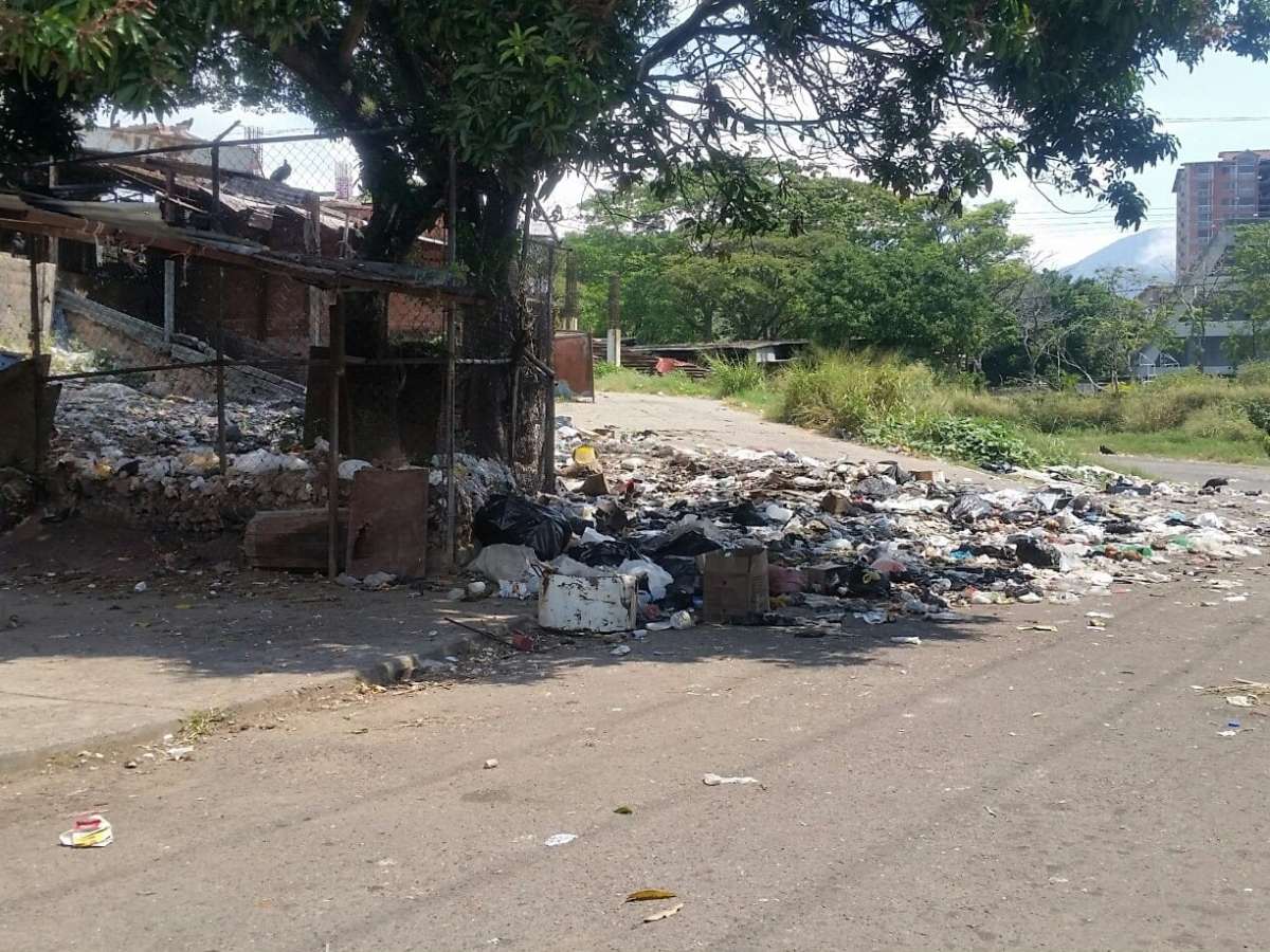 Retrasos en recolección de basura generan focos de contaminación en San Cristóbal