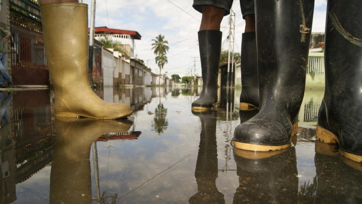 La vida entre las aguas peligrosas del Lago de Valencia (I)