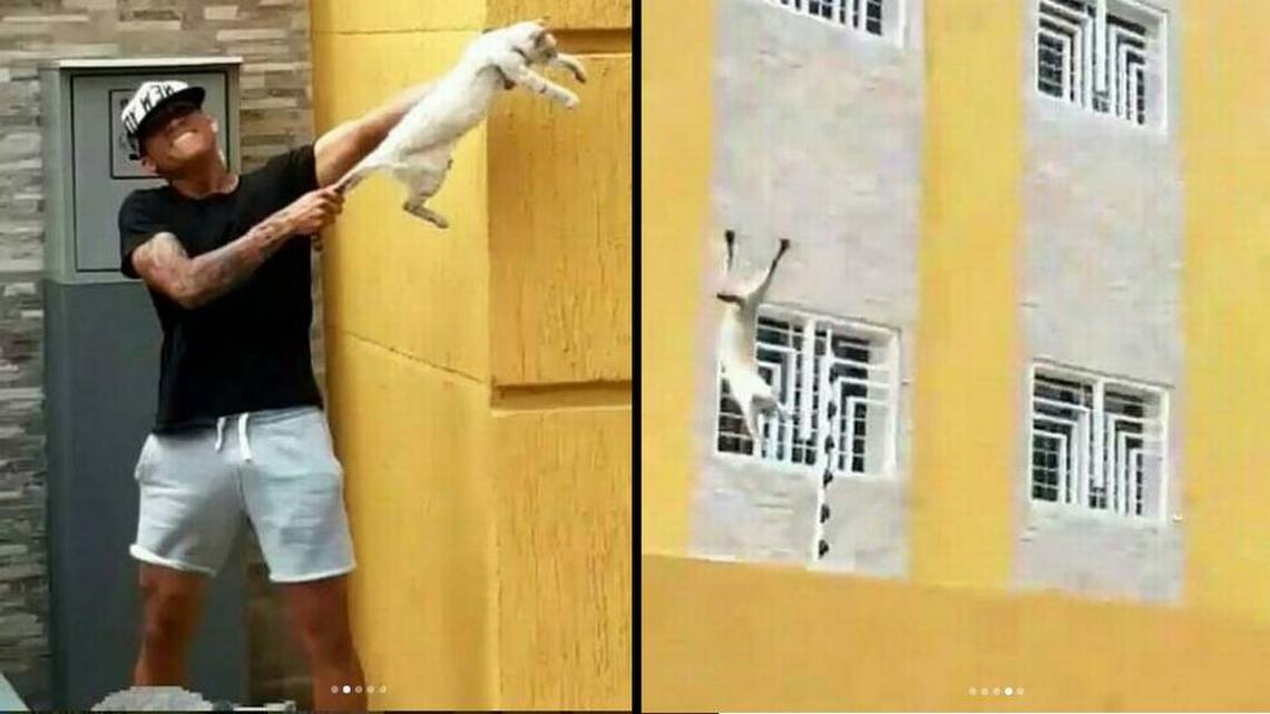 Fútbol criollo acertó al sacarle tarjeta roja al maltrato animal