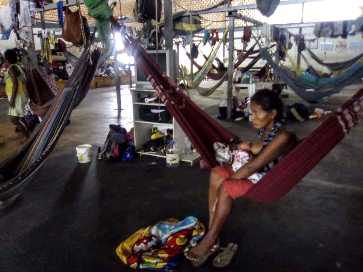 transmisión autóctona de sarampión