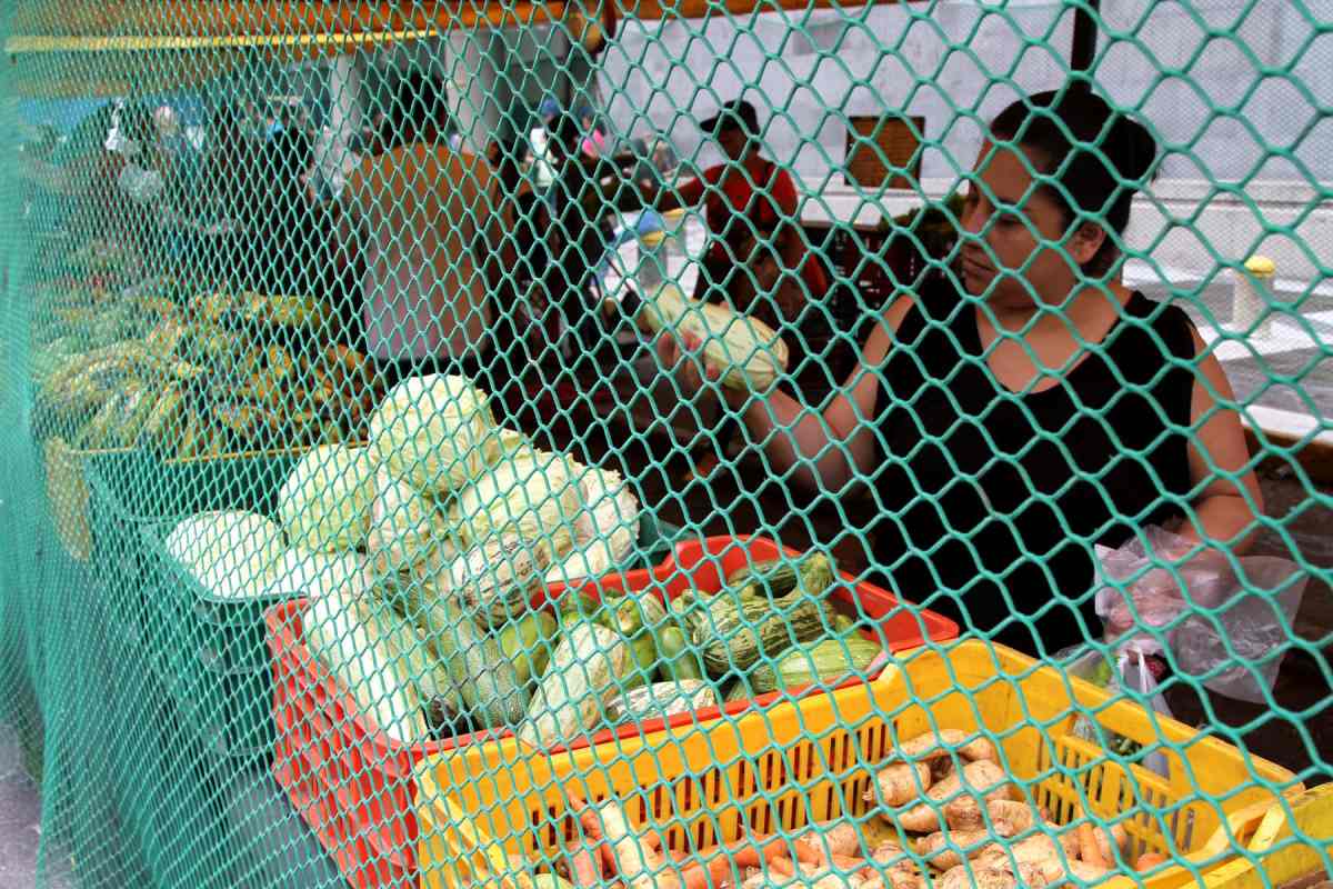 rubros | mercados caracas | sundde | producción