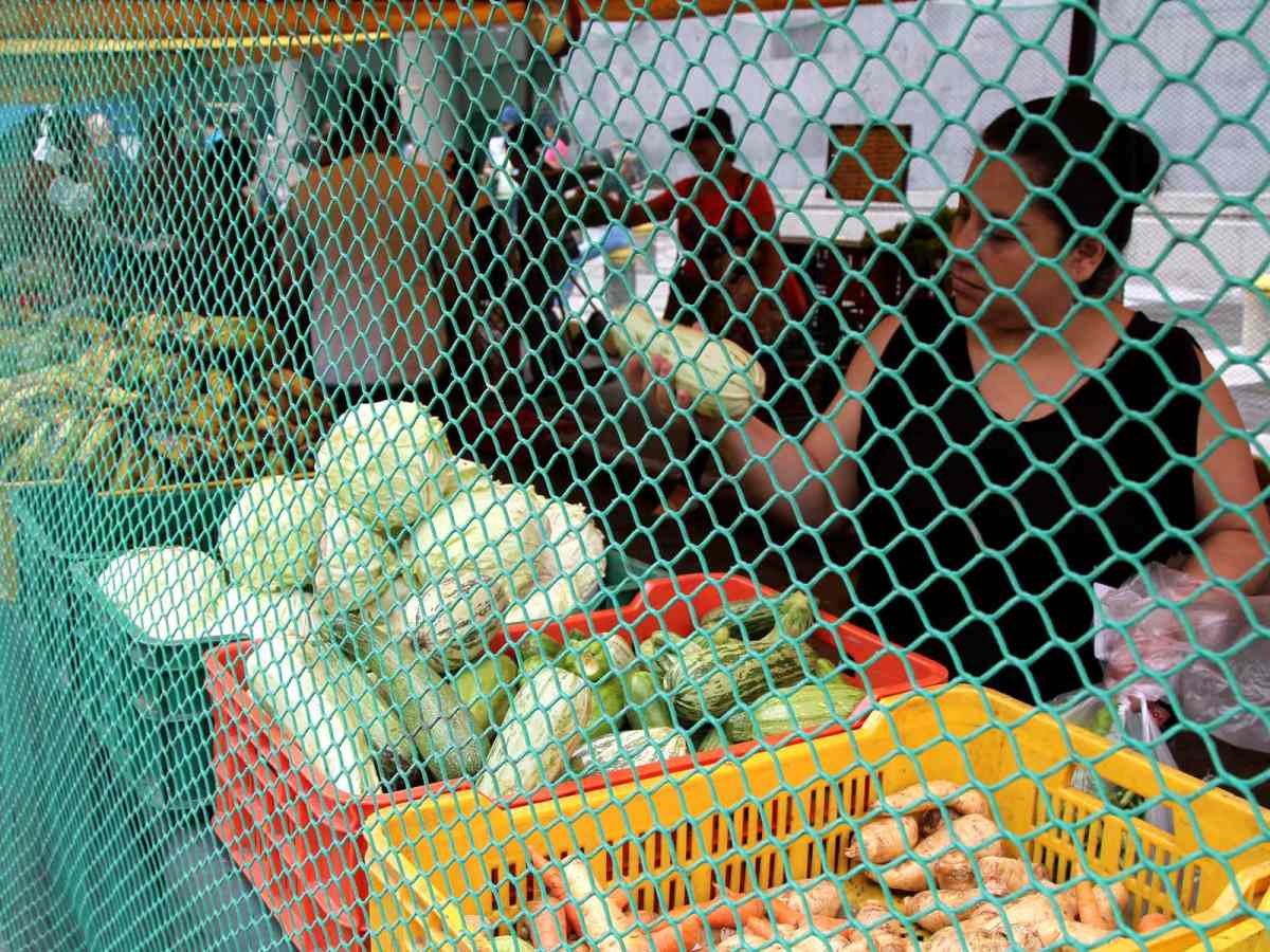 rubros | mercados caracas | sundde | producción