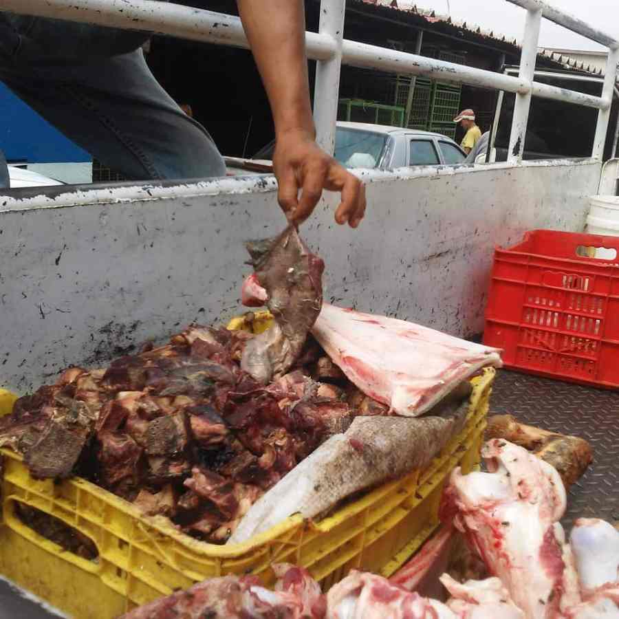 Mercado Las Pulgas de Maracaibo