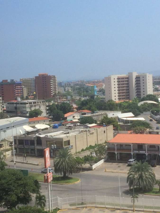 bachaqueros | anzoátegui