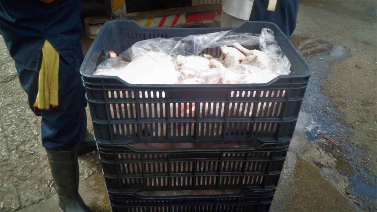 Venta de pollo en Caracas