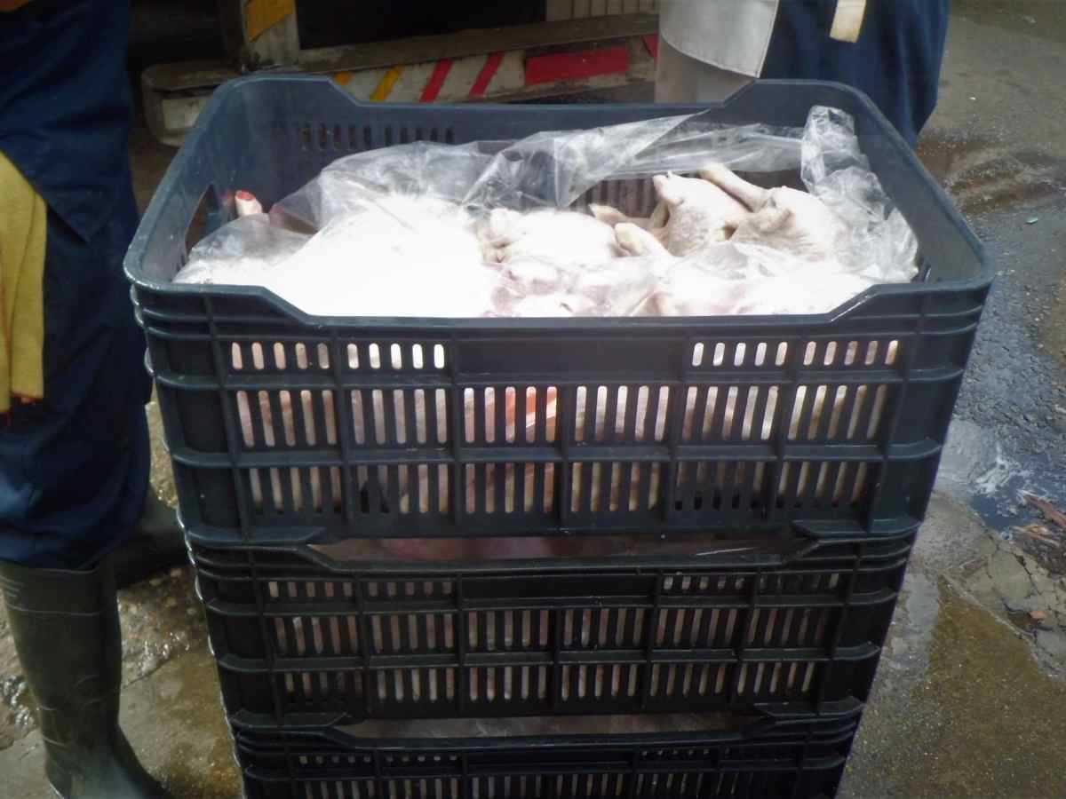 Venta de pollo en Caracas