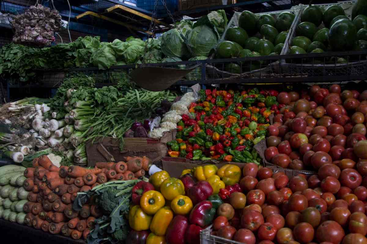 verduras y hortalizas