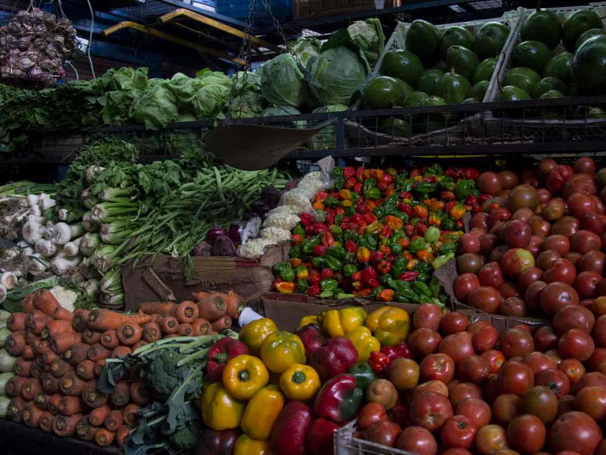 verduras y hortalizas