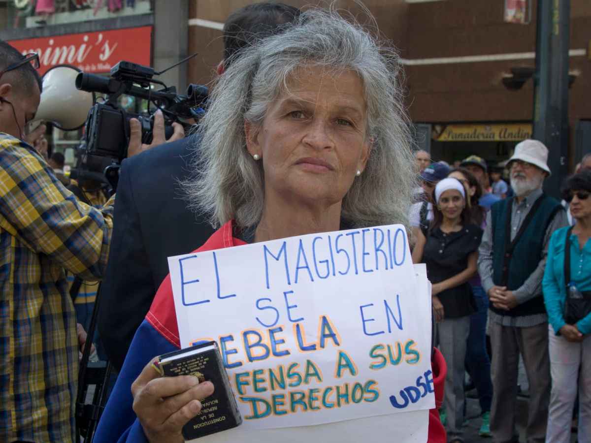 maestros y profesores