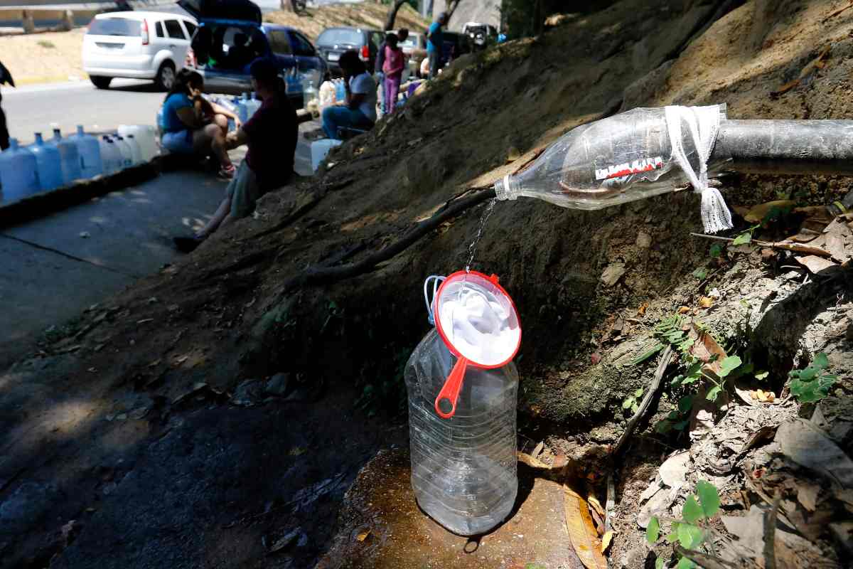 enfermedades infecciosas