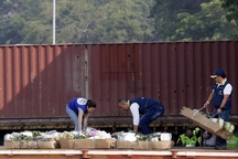 PTM-emergencia humanitaria