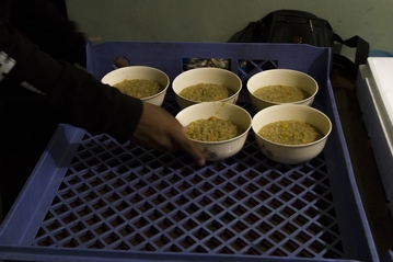 fundación ayúdate | cifras de desnutrición infantil