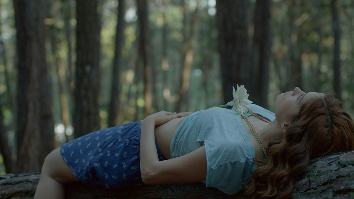 festival del cine venezolano