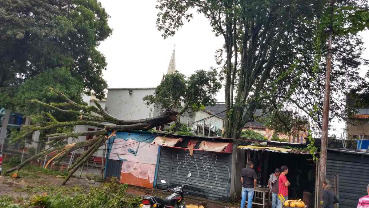 se robaron cable de luz