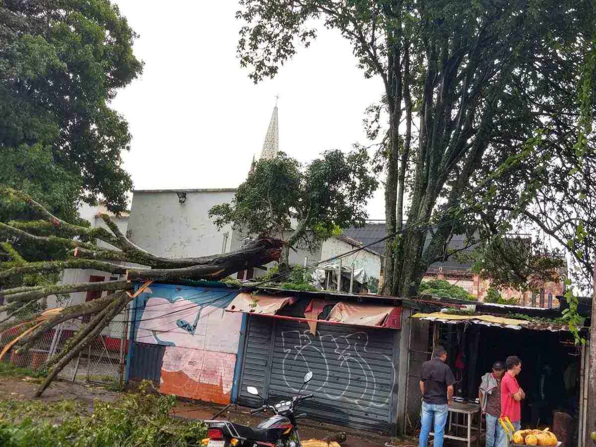 se robaron cable de luz