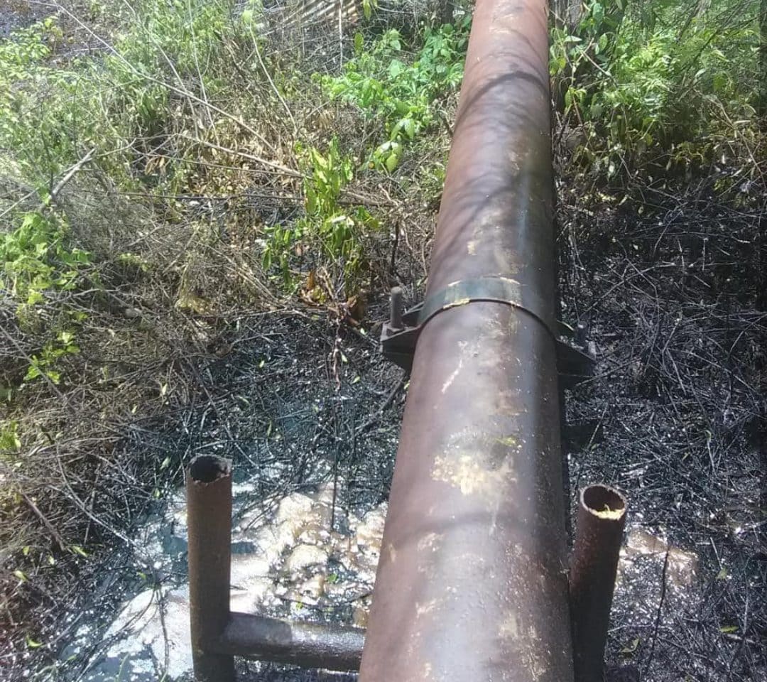 en riesgo sembradío