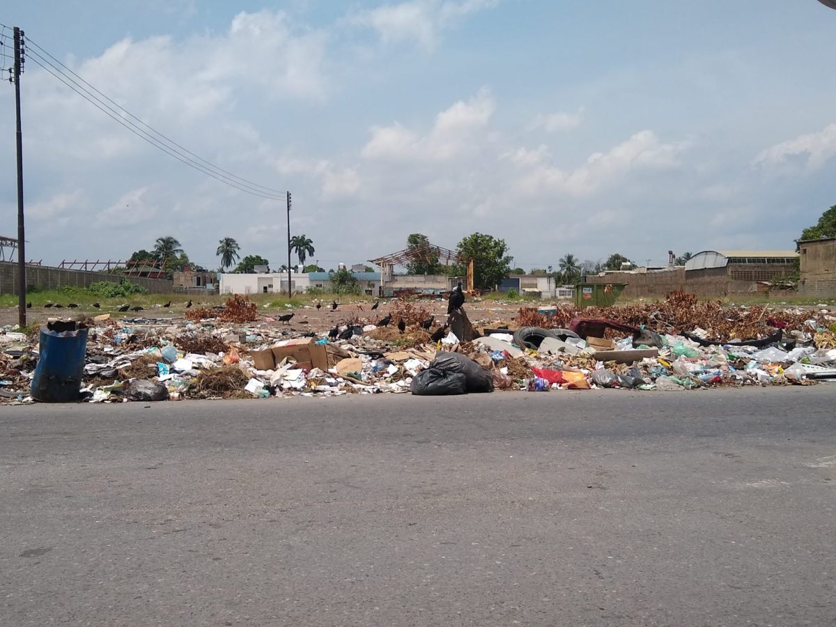 servicio de recolección de basura