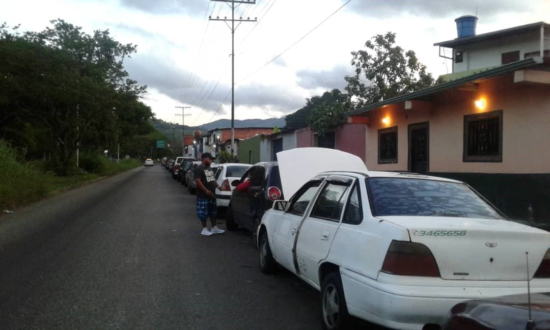 negocios que florecen