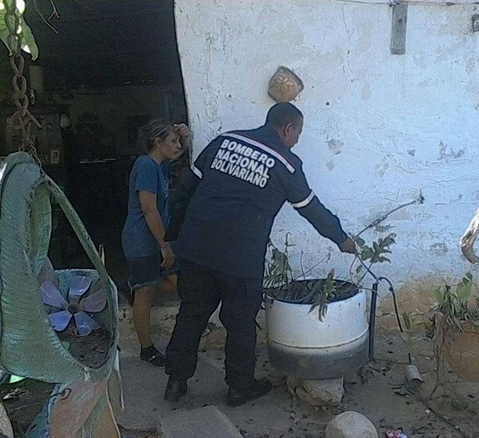 zulianos se alumbran con mechurrios