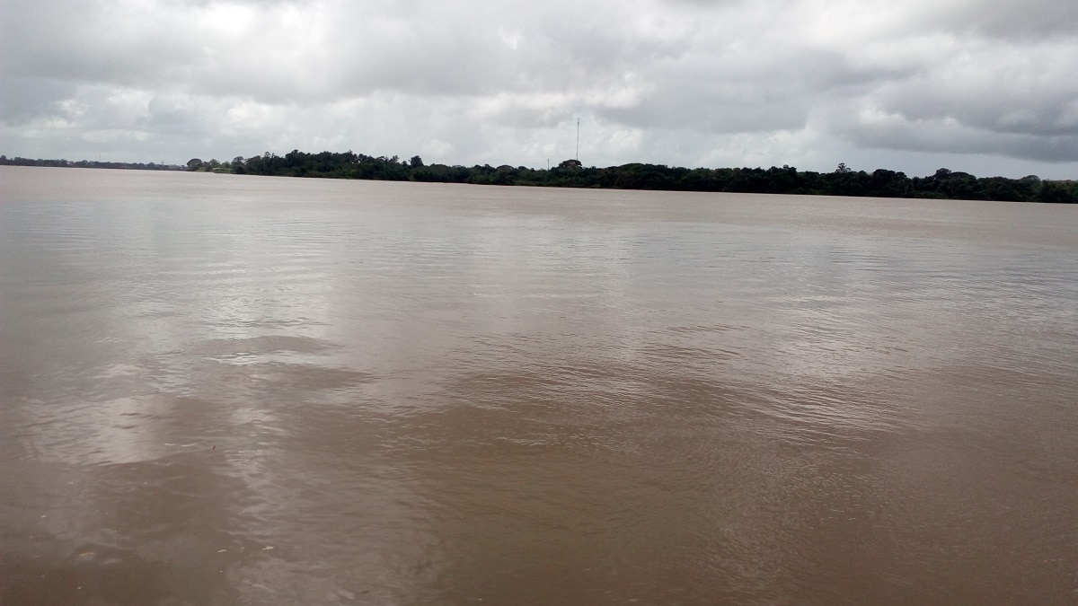río orinoco en palúa