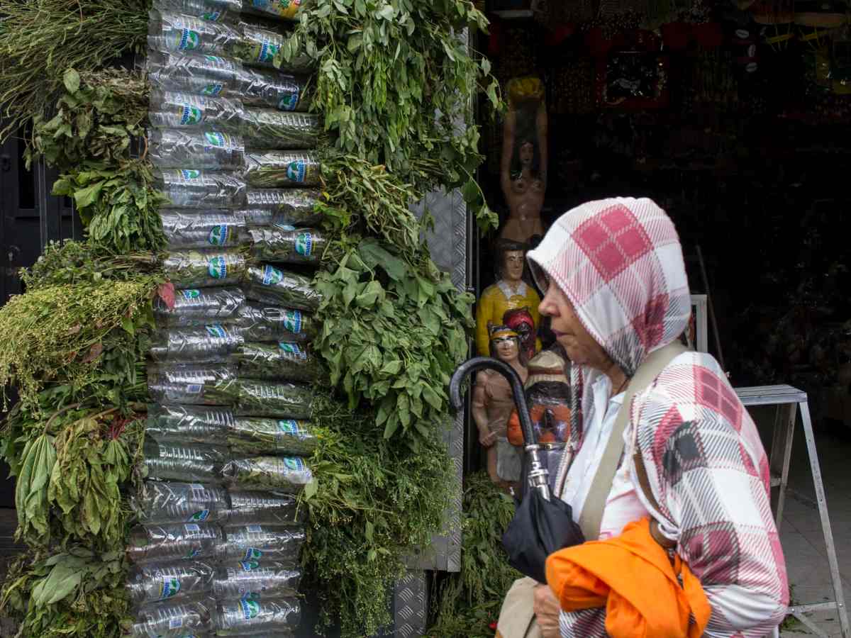 yerbateros y chamanes