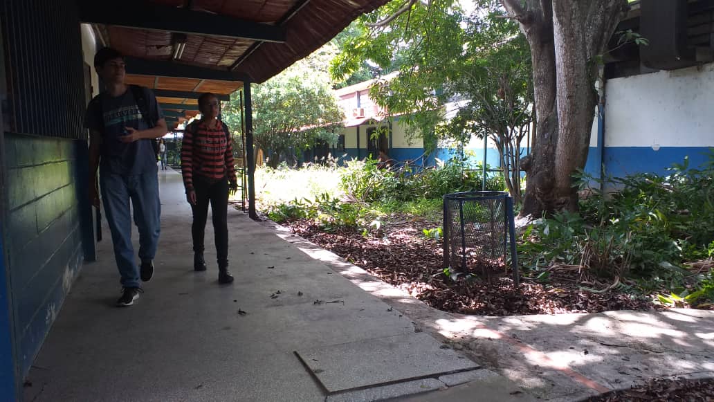 profesores de la uc llevan tres semanas trabajando de gratis