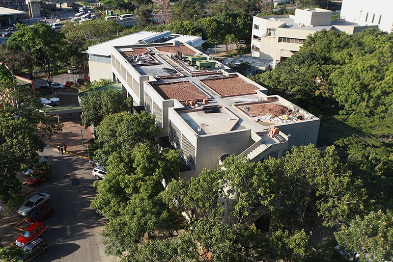 techo verde