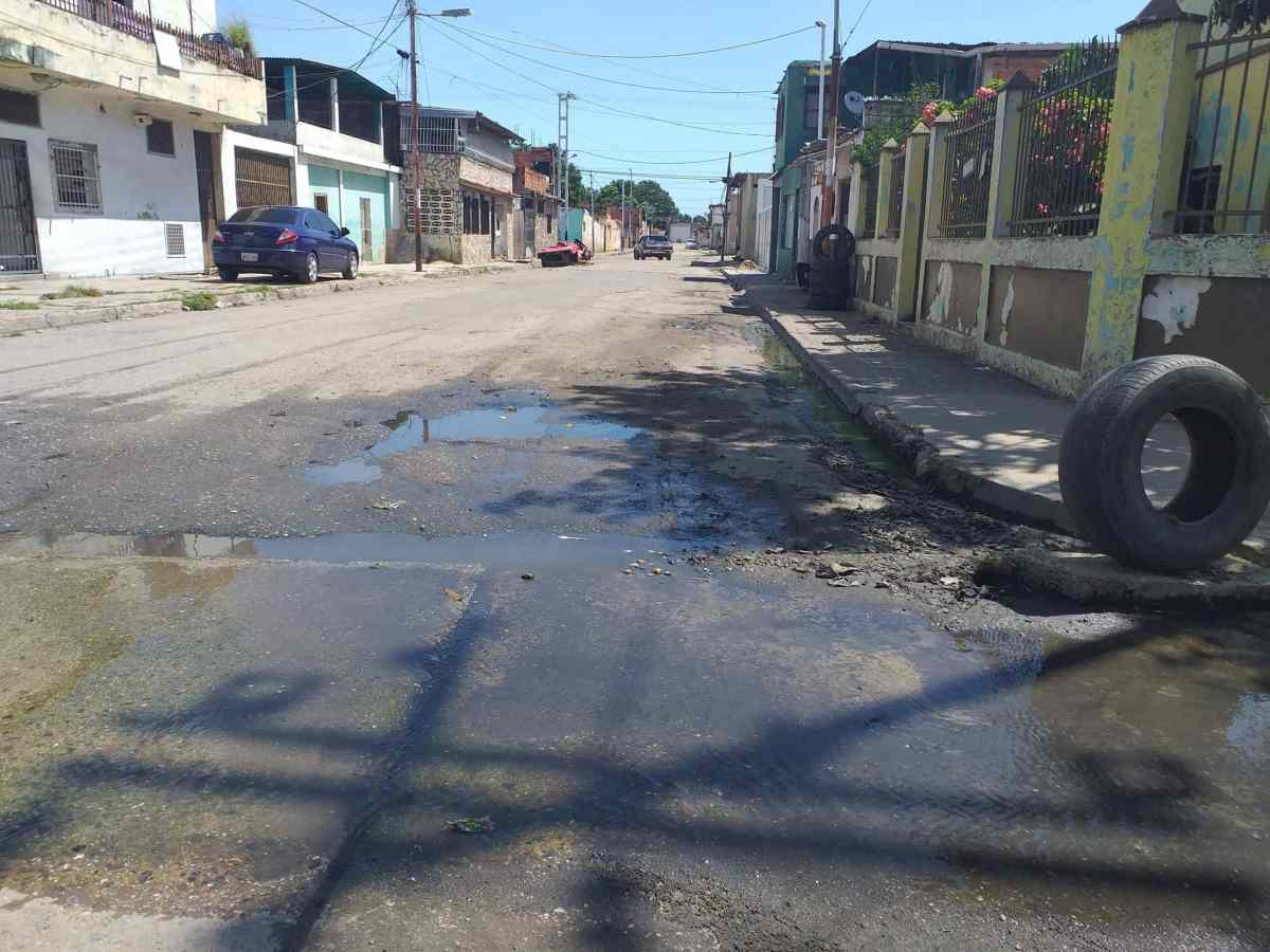 Vialidad sur de Valencia