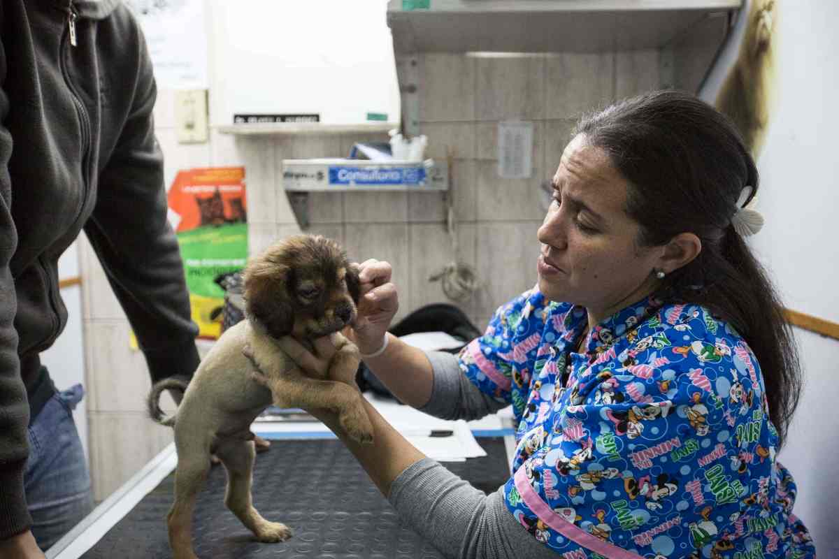 Esterilización