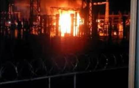 planta centro-cronicauno