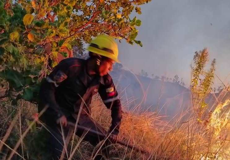 bombero forestal