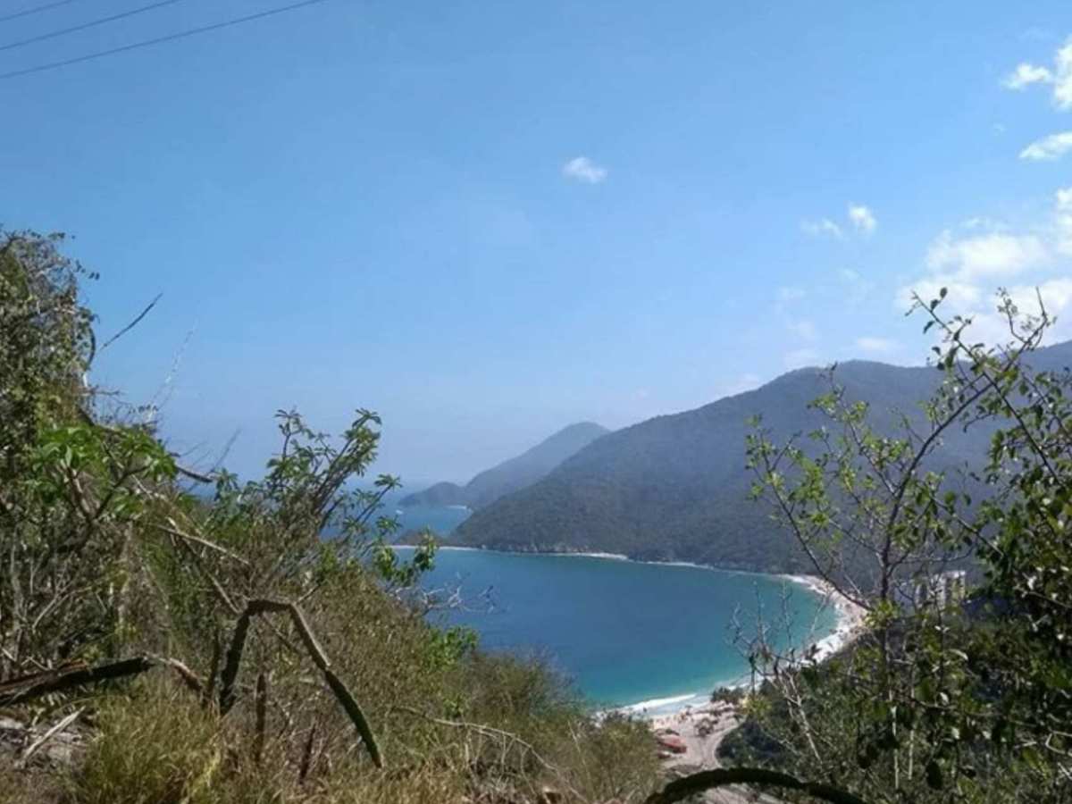 servicios deficientes y dolarizados