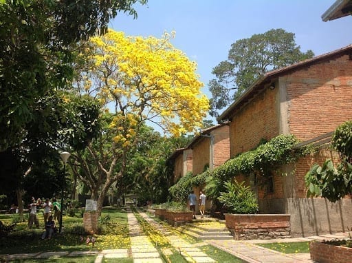 programación cultural