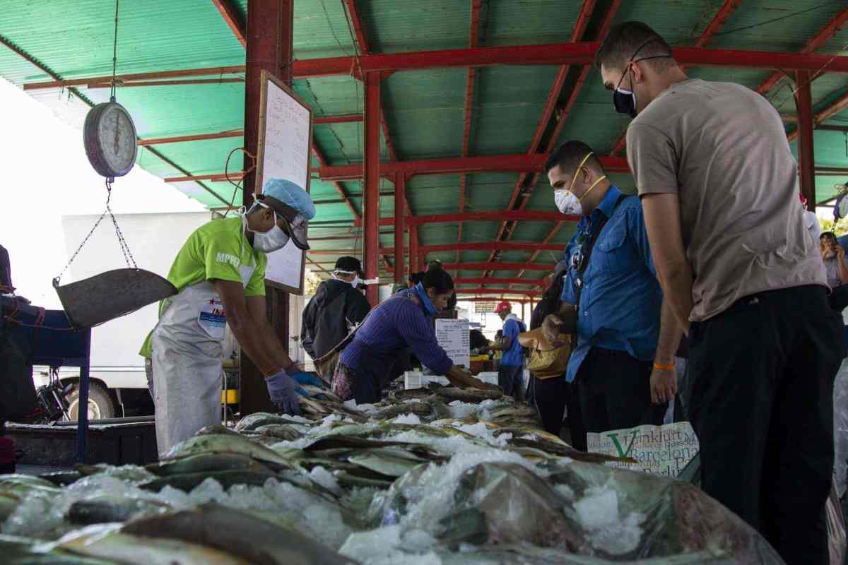 mercados municipales de libertador