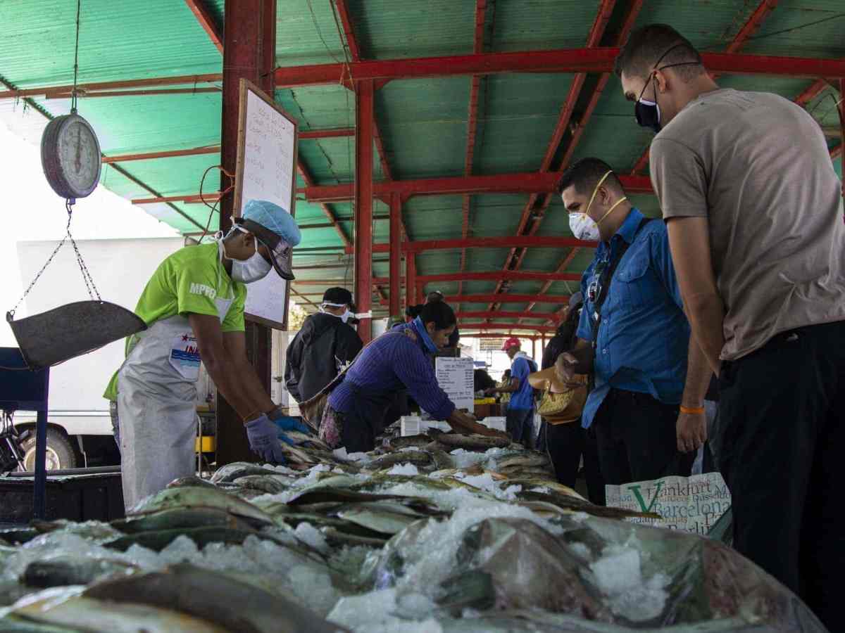 mercados municipales de libertador