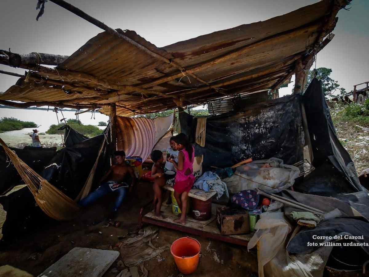 waraos que llegan a Cambalache