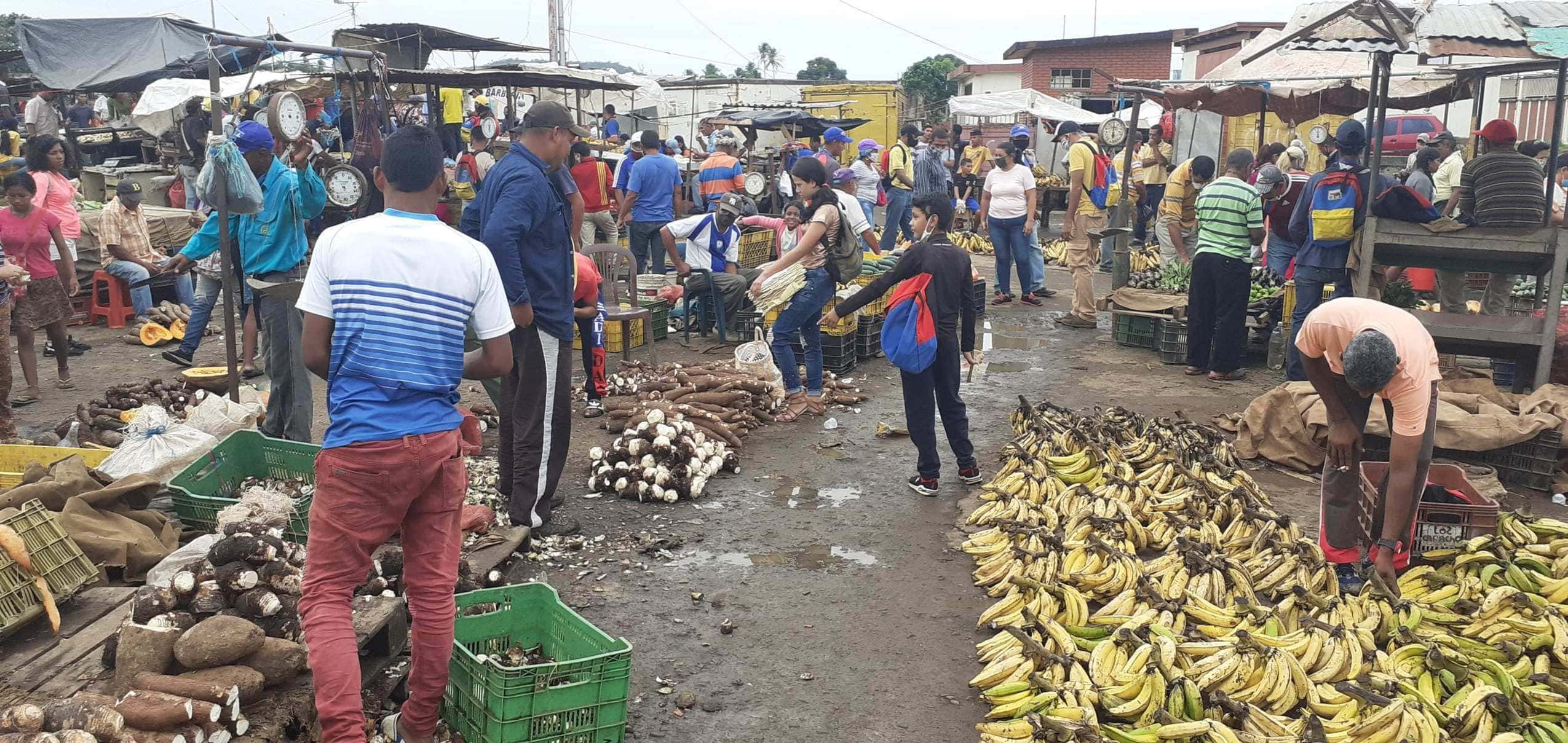 agropecuaria en Bolivar