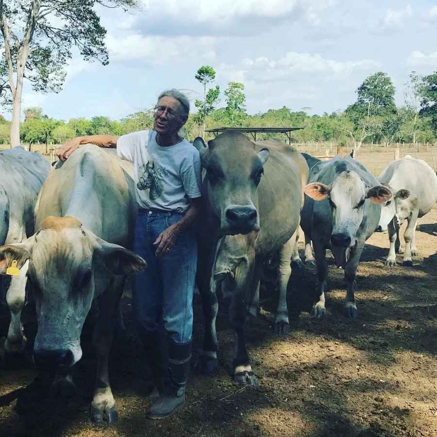 combustible subsidiado