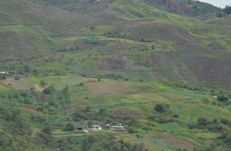 carayaca